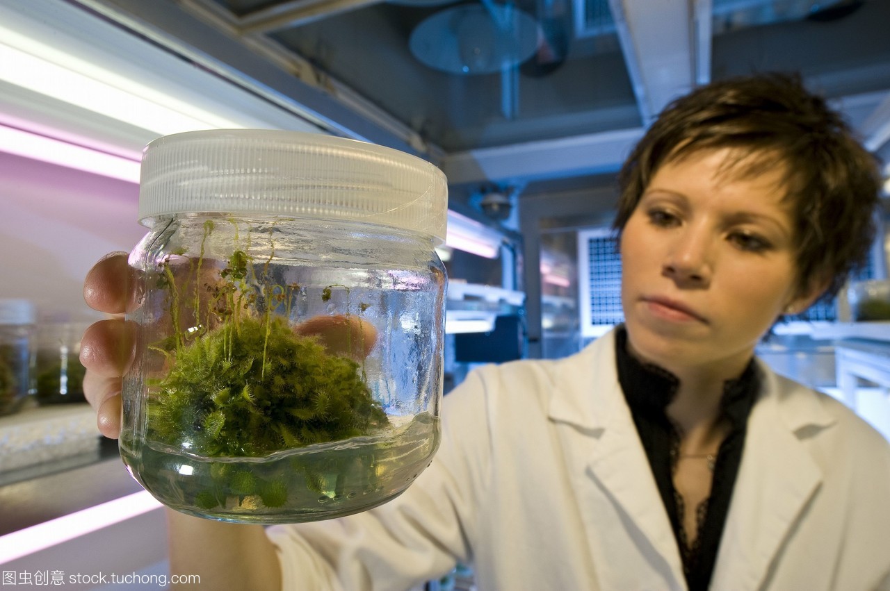 植物遺傳學(xué)研究 食肉植物消化液在人類重組蛋白生產(chǎn)中的應(yīng)用