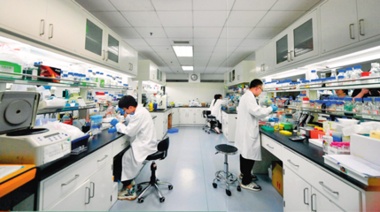 人工合成己糖 生物技術(shù)前沿的創(chuàng)新探索